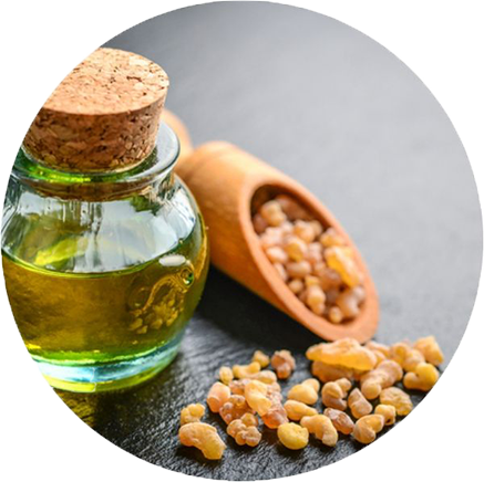 Boswellia