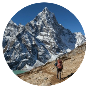 Cordyceps Sinensis Extract