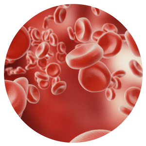 Red Blood Cell Nutrients