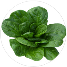 Iron Availability