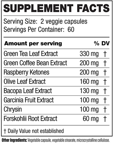 invigor8 fat burner ingredients