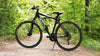 a bike propped up on a path in the woods