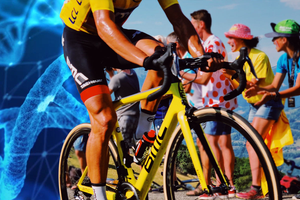 Carbohydrates: Why They Matter For Energy Levels