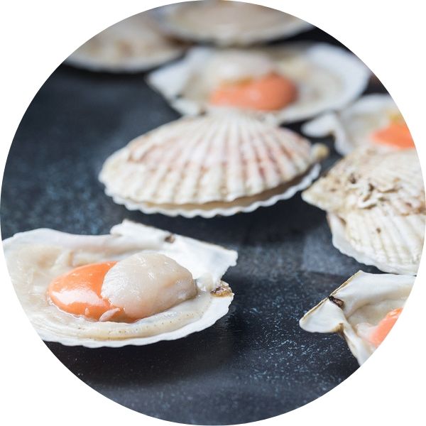 Glucosamine hydrochloride