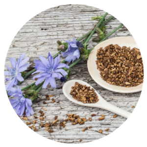 Prebiotic Fiber Complex