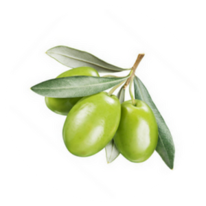OLIVE LEAF EXTRACT