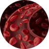 Red Blood Cell Nutrients